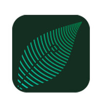 Grüne Blattgrafik mit Linienmuster vor dunklem Hintergrund.