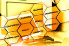 Hexagon, Managementkompetenzen