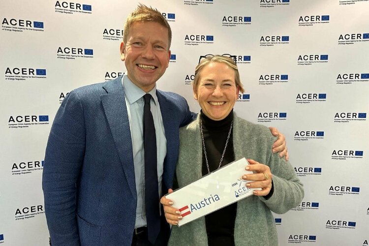 Christian Pilgaard Zinglersen, Christine Materazzi-Wagner, ACER
